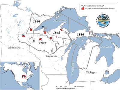 Frontiers Ojibwe Perspectives Toward Proper Wolf Stewardship and